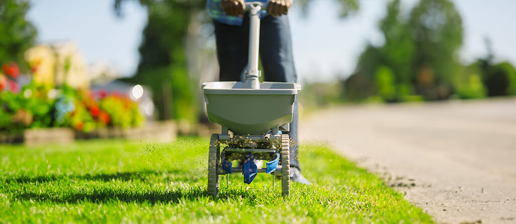 Man sowing grass with a spreader, maintenance, lawn repair and lawn fertilization.