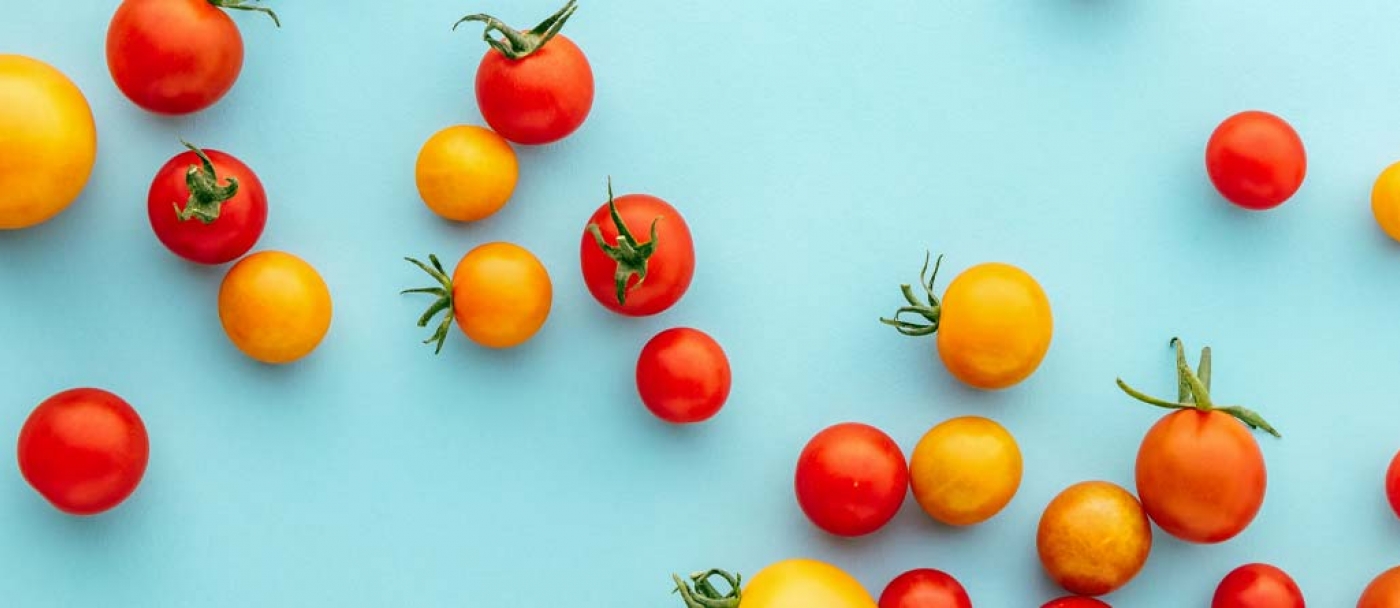 Begginer's guide to growing perfect tomatoes