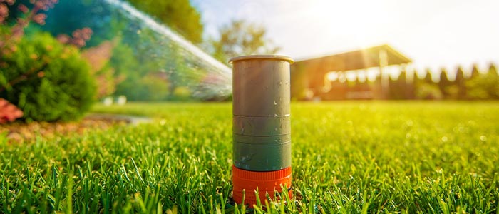 Lawn watering