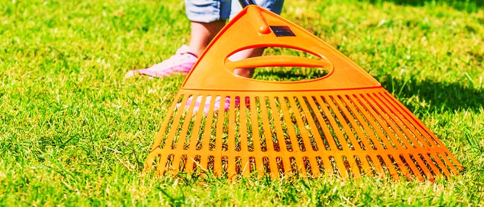 Leaf rake