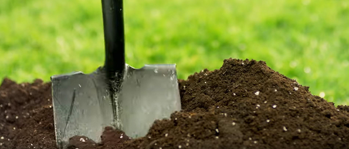 Shovel in soil