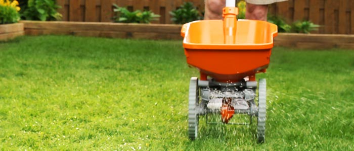 Spreading grass seeds