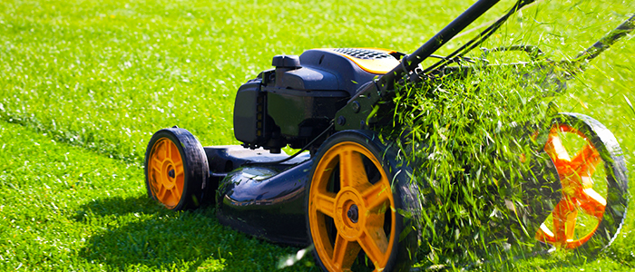 Mowing