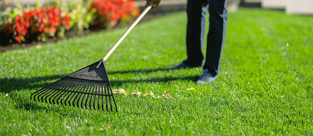cil_website_article_conseils-how-to-revive-your-lawn-this-spring-03