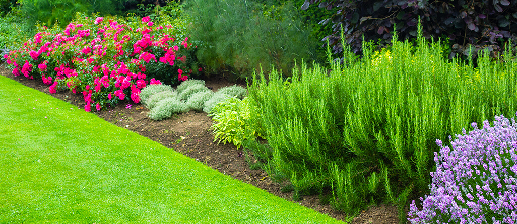 How-to-get-the-perfect-lawn-edge-02