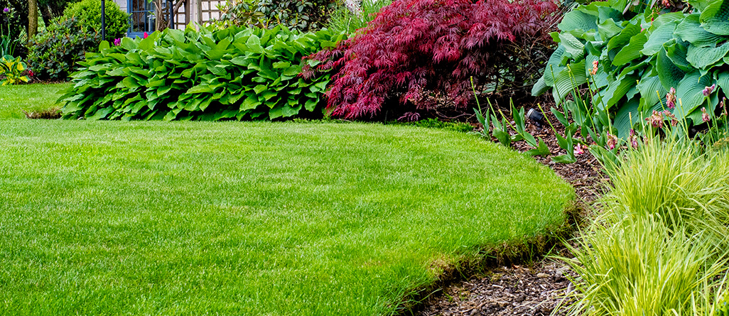 How-to-get-the-perfect-lawn-edge-04