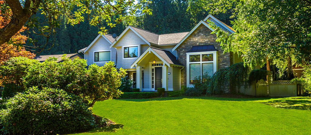 How-to-get-the-perfect-lawn-edge-05