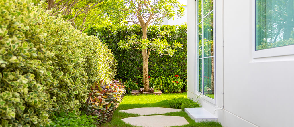 How-to-get-the-perfect-lawn-edge-06