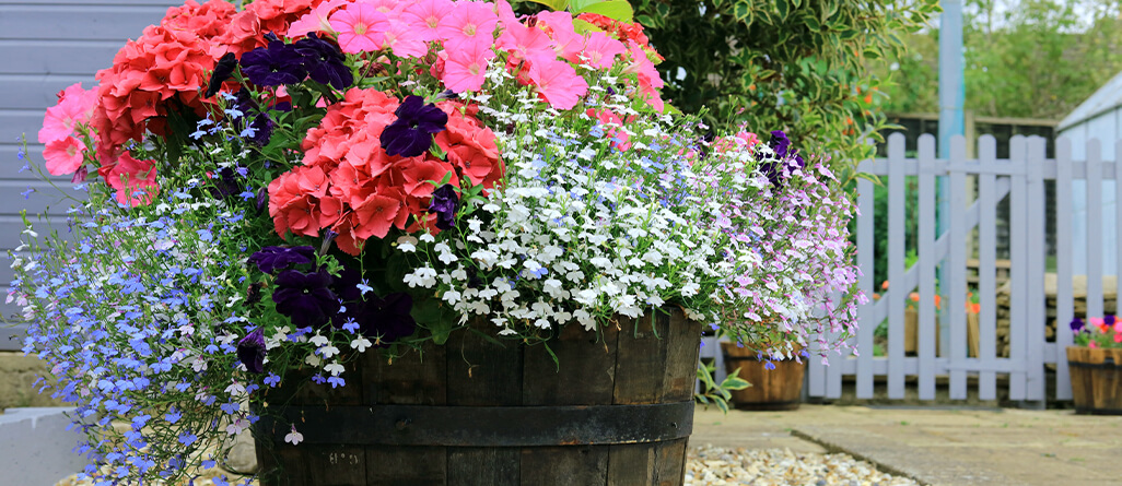 amenagement-de-jardin-07