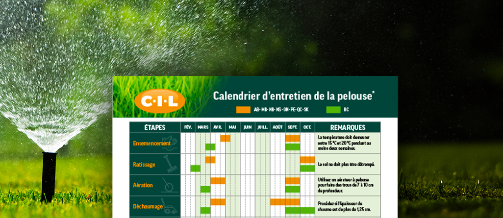 cil-4-herbes-a-ne-pas-confondre-gramineescil-4-herbes-a-ne-pas-confondre-graminees