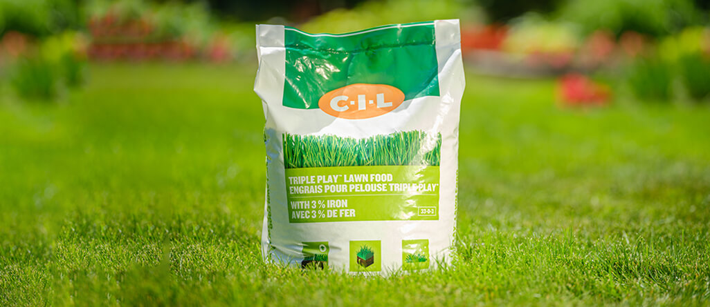 cil-august-lawn-care-03