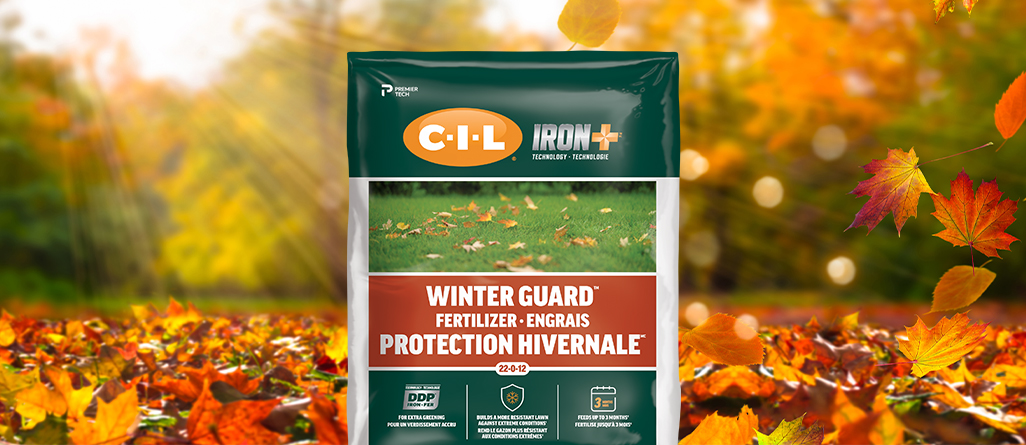 cil-best-time-to-fertilize-a-lawn-03