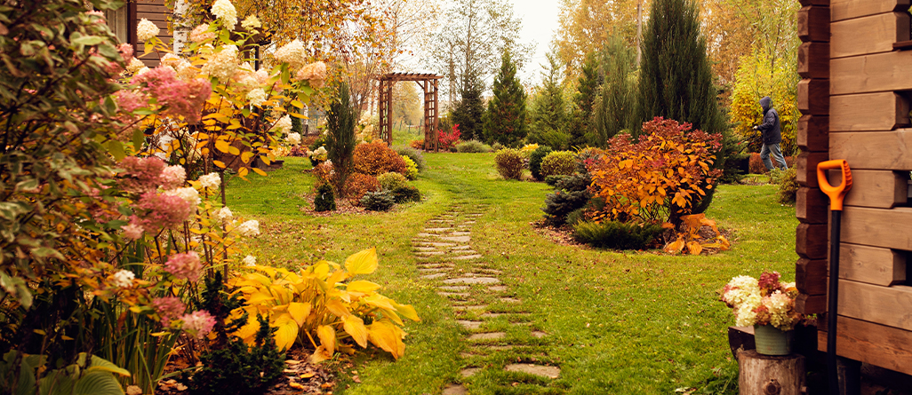 cil-best-time-to-fertilize-a-lawn-04