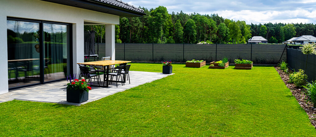 cil-how-to-revive-lawn-10