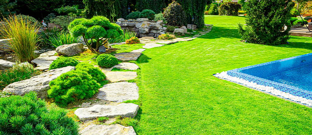 cil-topdress-your-yard-02