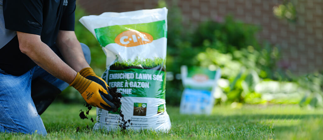 cil-topdress-your-yard-03