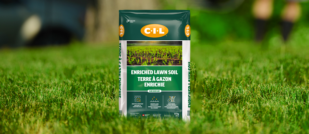 cil-topdress-your-yard-03