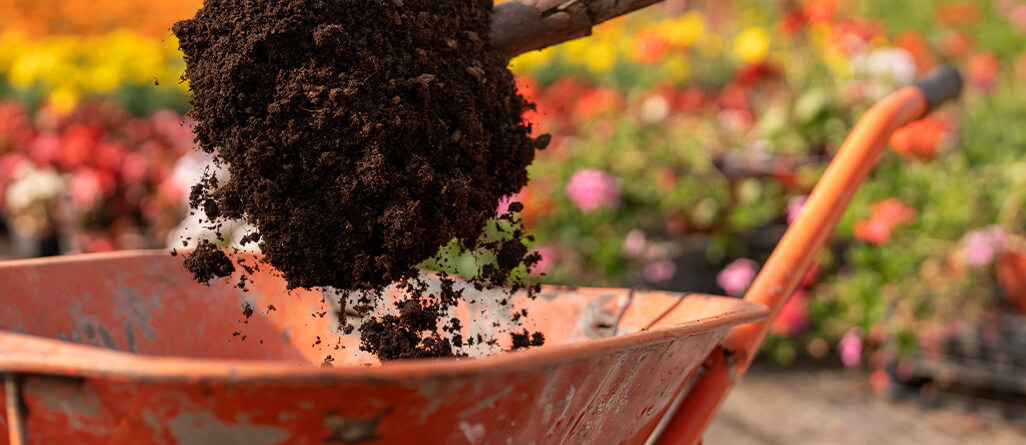 cil-topdress-your-yard-04