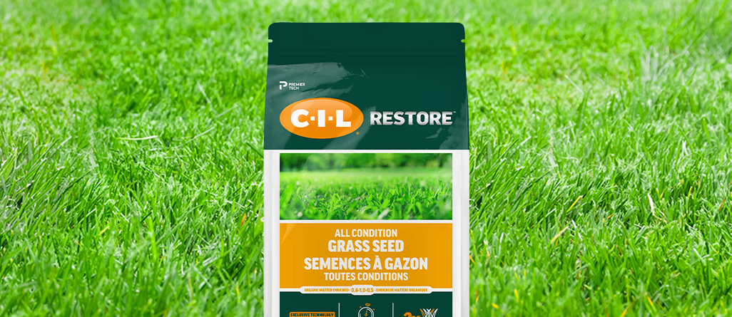 cil-topdress-your-yard-05