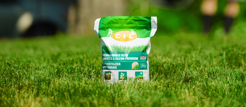 cil-topdress-your-yard-05