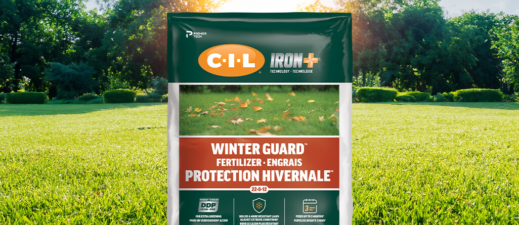 C-I-L Winter Protection Fertilizers contain a high potassium content to help the lawn survive the winter.