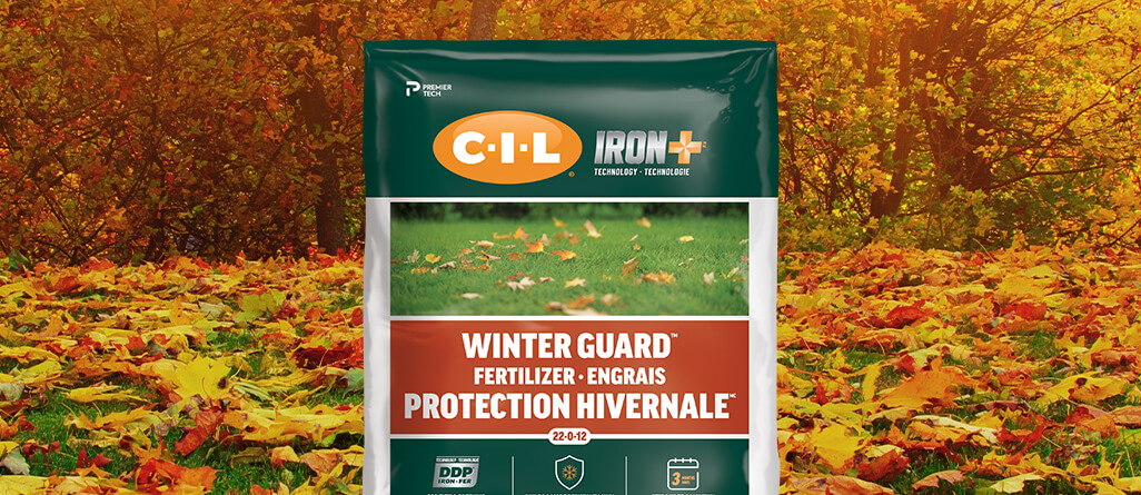 C-I-L Winter Protection Fertilizer to apply in the fall to help the lawn get through the winter.