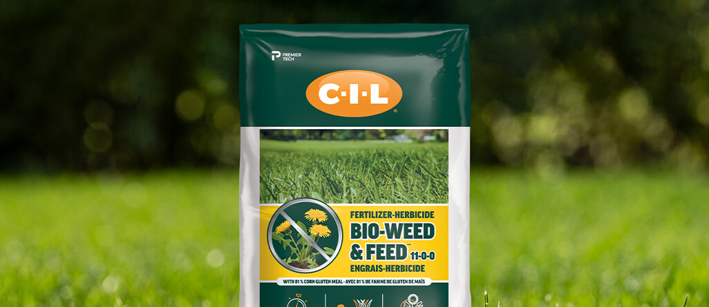 C-I-L BIO-WEED & FEED uses a corn gluten formula that kills weed seeds hidden in the soil before they germinate.