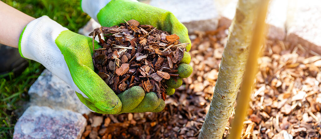 cil-should-you-mulch-in-the-fall-03