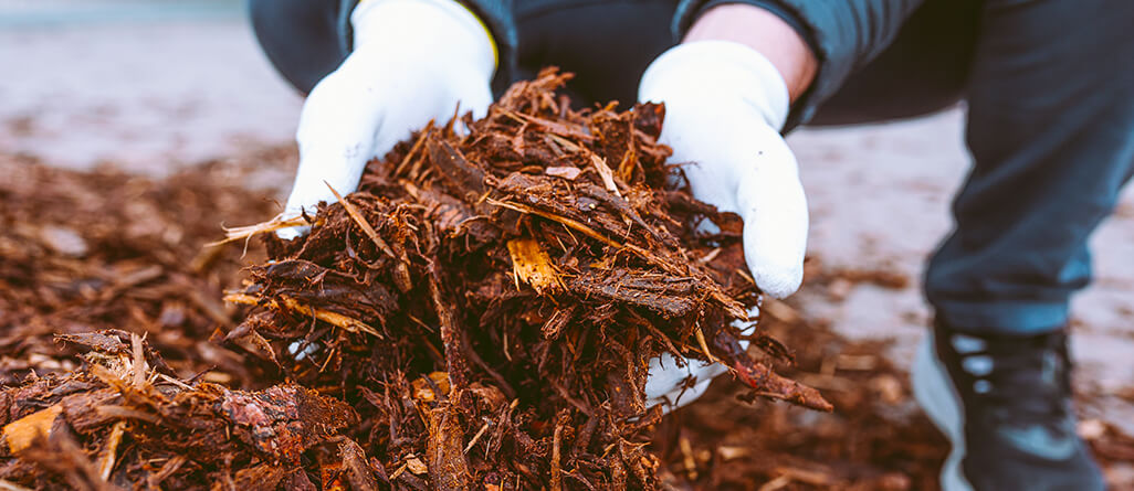 cil-should-you-mulch-in-the-fall-05
