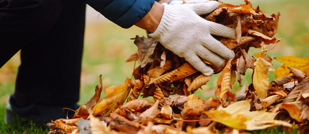 cil-should-you-mulch-in-the-fall-06
