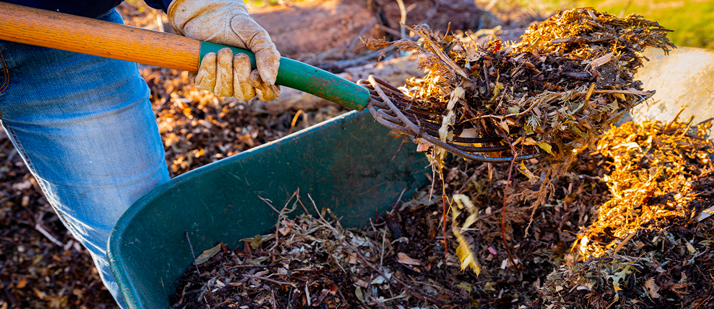 cil-should-you-mulch-in-the-fall-07