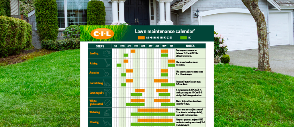 c-i-l-snow-mold-allergies-06 c-i-l-snow-mold-allergies-06