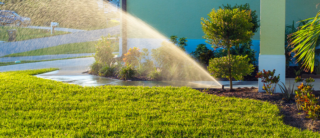 c-i-l-keep-grass-green-summer-hea02