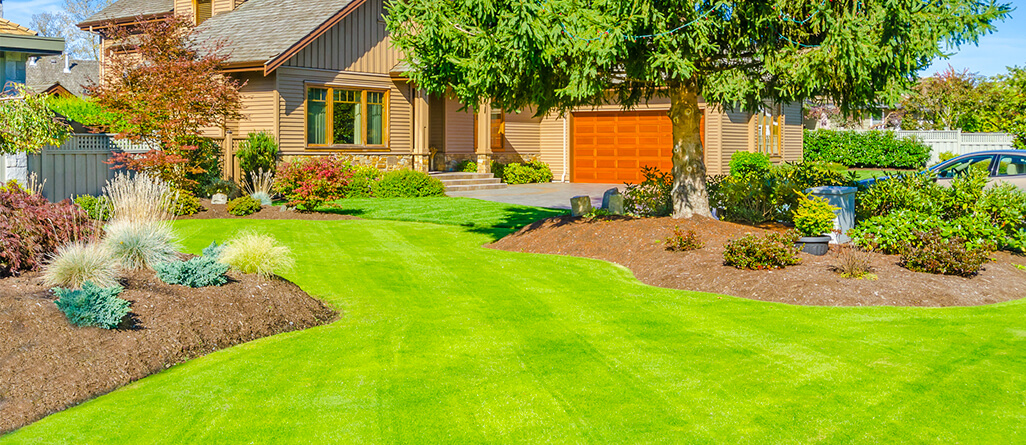 c-i-l-keep-grass-green-summer-heat-03
