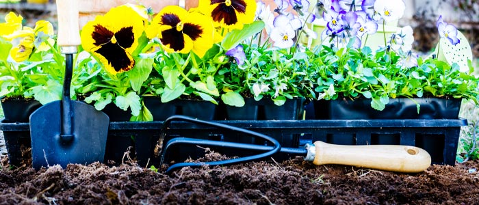 Gardening tools with flowers