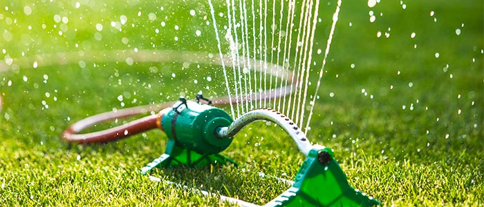 Watering your lawn