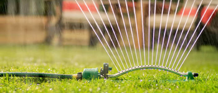 Watering lawn