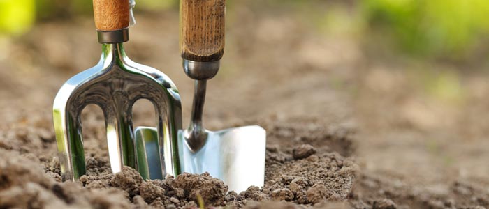 Garden trowel and shovel