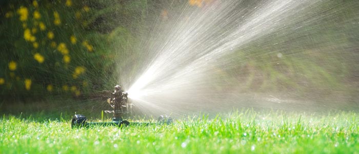 Watering lawn