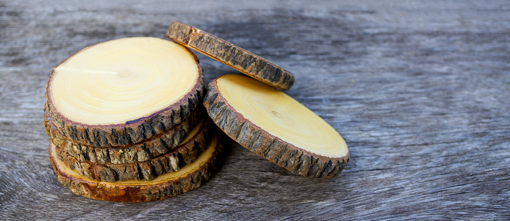 Tree Coasters