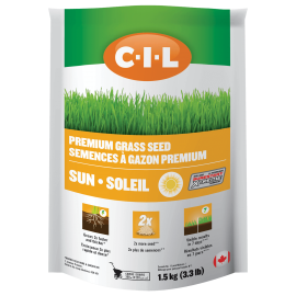 CIL Premium Sun Grass Seed