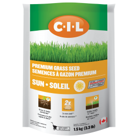 CIL Semences à gazon premium soleil 