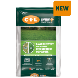C-I-L Iron+ 4 in 1 Lawn Recovery