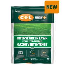 C-I-L IRON+ Intense Green Lawn Fertilizer 10kg