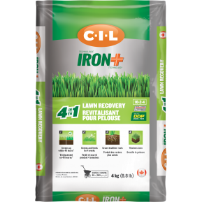 Revitalisant de pelouse 4 en 1 C-I-L® IRON+ 10-2-4 4kg