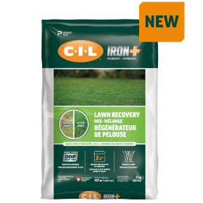 C-I-L Iron+ 4 in 1 Lawn Recovery