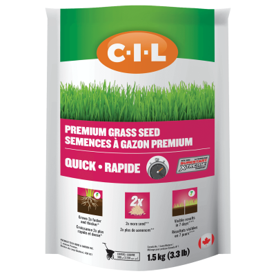 CIL Premium Grass Seed Quick