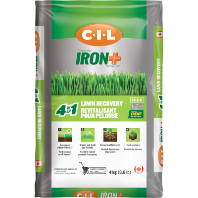 Revitalisant de pelouse 4 en 1 C-I-L® IRON+ 10-2-4 4kg