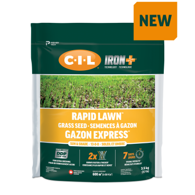 C-I-L Iron+ Rapid Lawn Sun & Shade Grass Seed 3.5kg