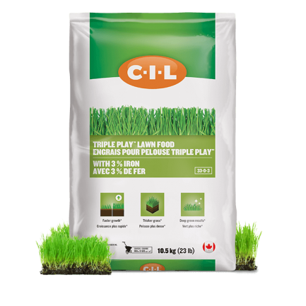 CIL Triple Play™ Lawn Food 33-0-3